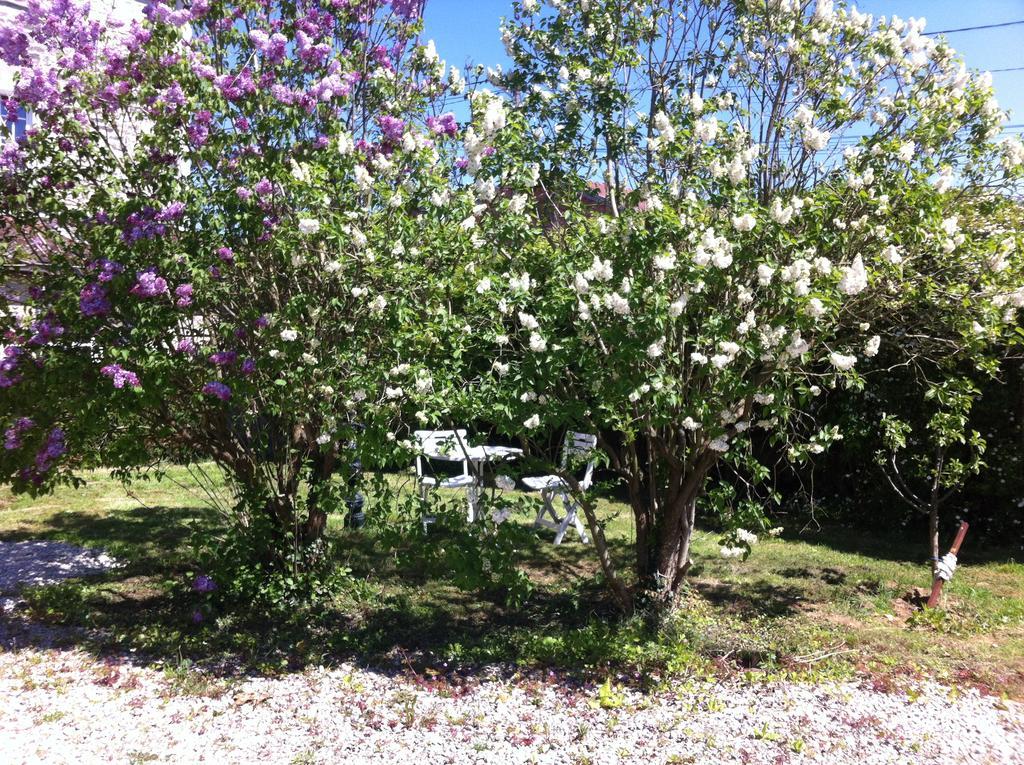 Les Lilas Roses Chamouilley Buitenkant foto